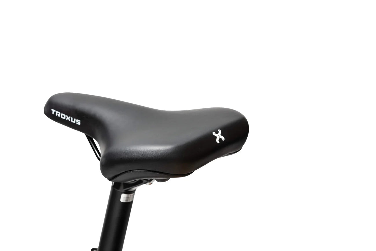 Explorer Plus Step Thru E-Bike
