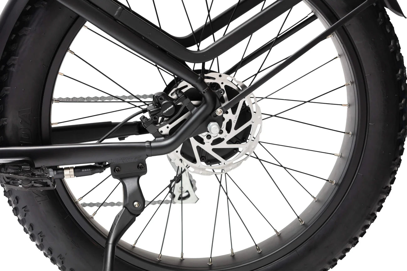 Explorer Plus Step Thru E-Bike